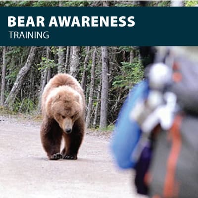 canada bearawareness training certification