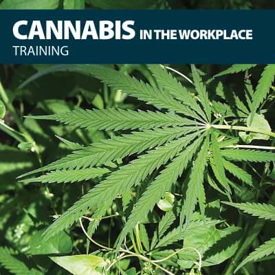 cannabis in the workplace training certification