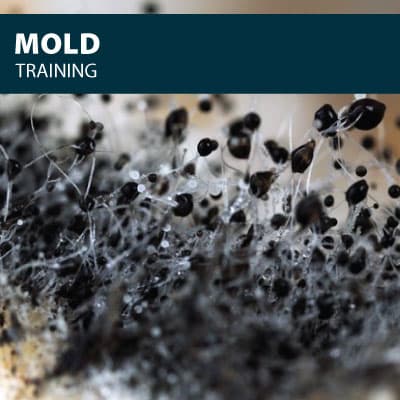 canada mold training certification